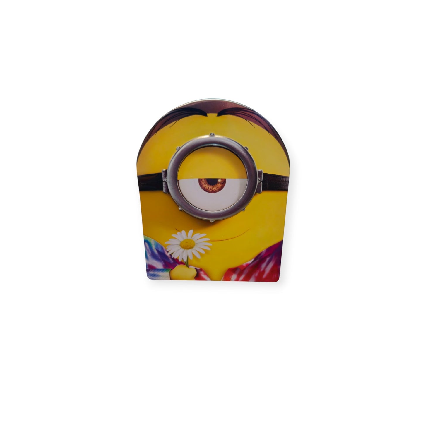Minions - Perfect Br Disc -Steelbook - Ironpack Tin - Blu Ray - DVD - Bonus
